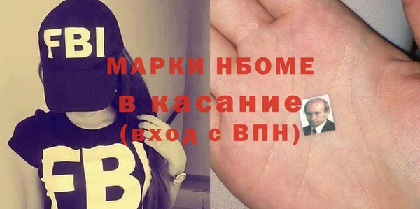 шишки Лабытнанги