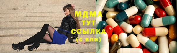 шишки Лабытнанги
