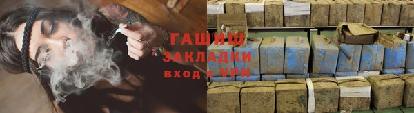 шишки Лабытнанги