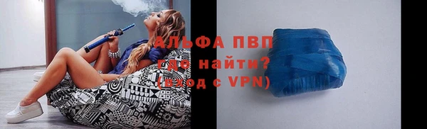 шишки Лабытнанги