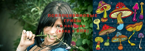СК Абдулино