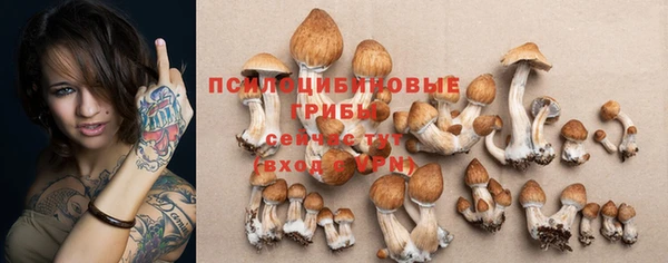 мет Лагань
