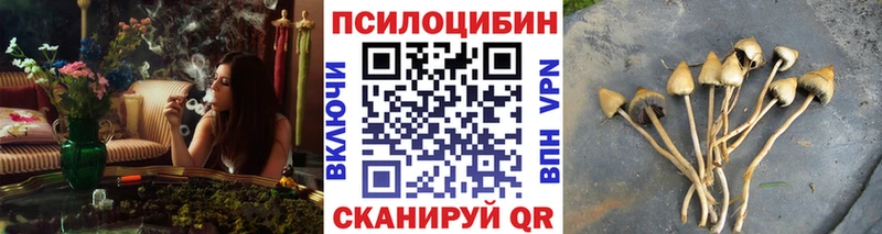 Псилоцибиновые грибы MAGIC MUSHROOMS наркошоп Орёл